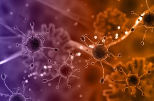 2019-nCoV Virus