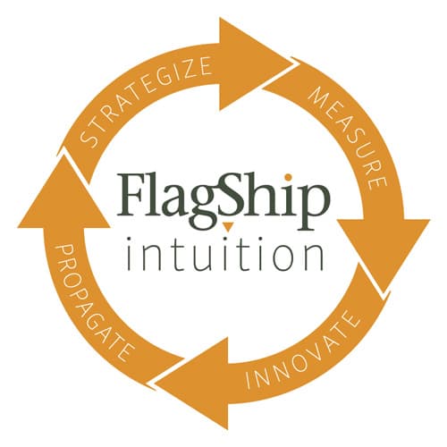 Flagship Intuition Logo
