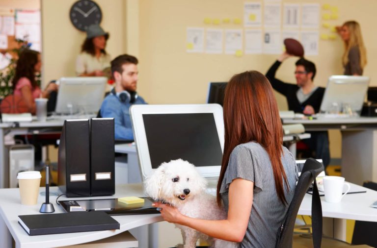Office Worker with Dog