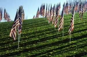 American Veterans Flags
