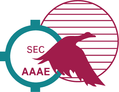 SEC AAE Chapter