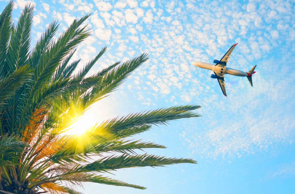 Airplane Flying over Palm Tree