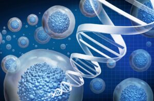 Regenerative Cells