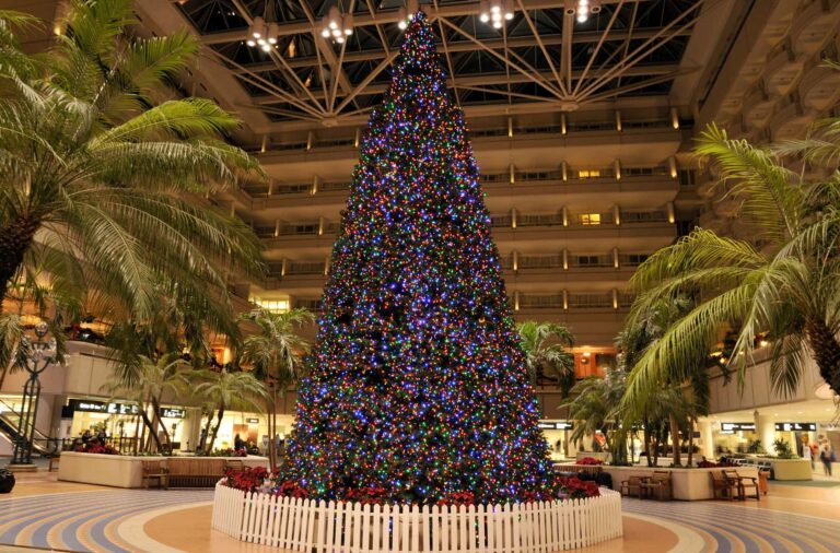 Christmas Tree at the Airport