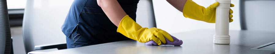 Janitorial Services