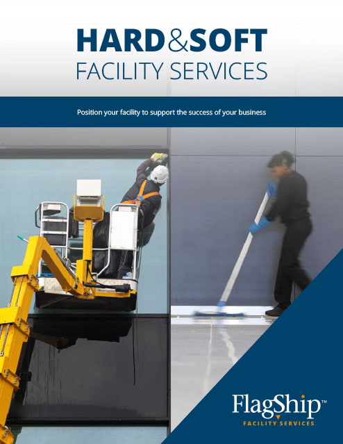 Cover of Hard and Soft Facility Services