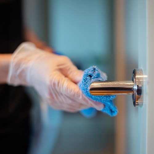 Cleaning Door Handle